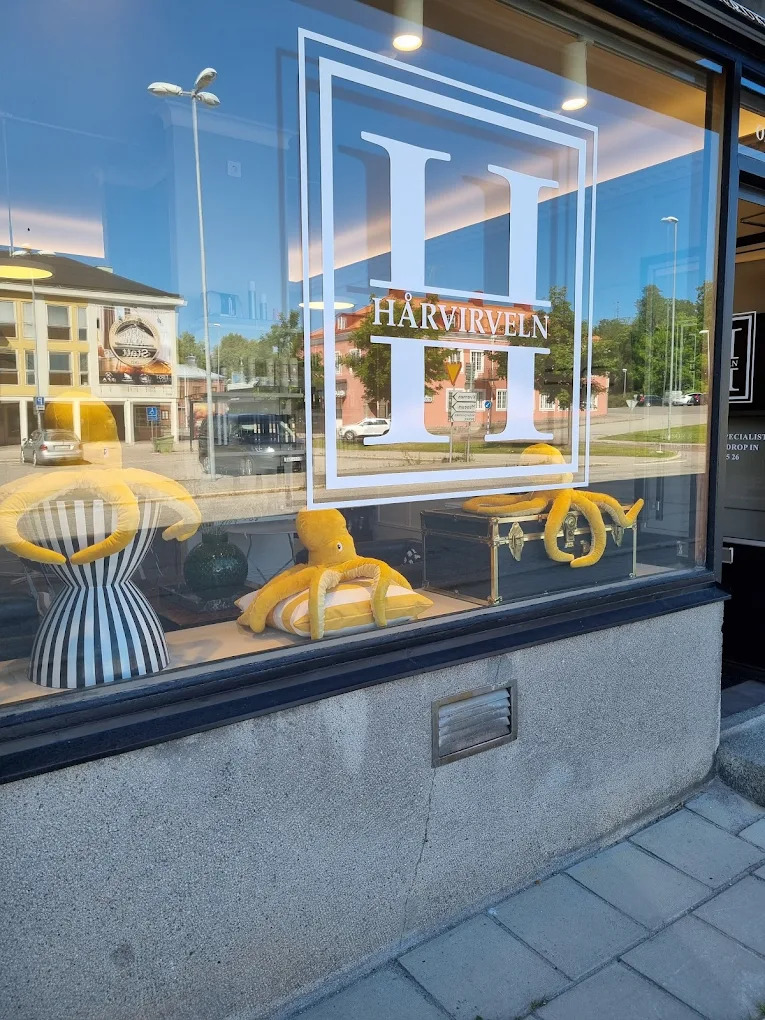 Hårvirvelns fönster